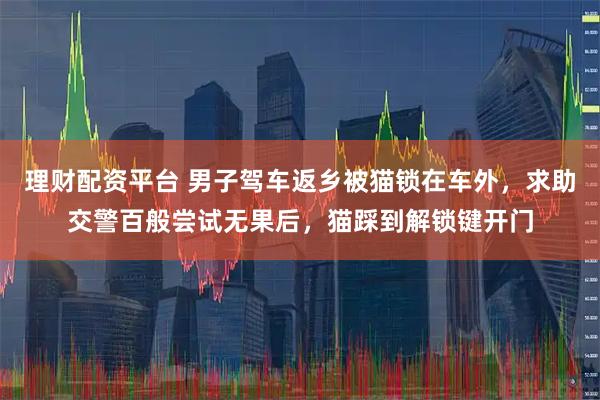 理财配资平台 男子驾车返乡被猫锁在车外，求助交警百般尝试无果后，猫踩到解锁键开门